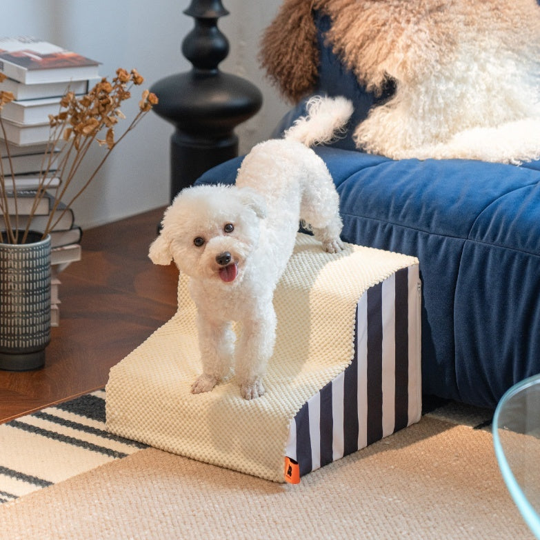 PawLift Pet Ramp